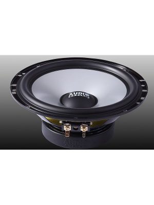 Audio System AS650C : 2-Way Speaker System